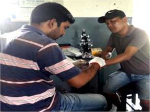 Blood taken for diagnosis