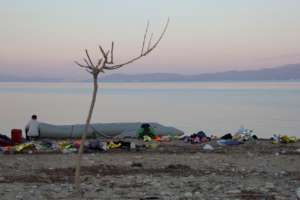 Shorline After a Boat Arrived