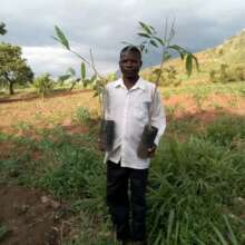 Ready planting trees in hilly areas