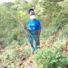 Children scientists supporting meteorogical survey