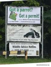 BBR banner for licence programme 2015