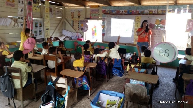 Education and awareness: Birds in Belize!