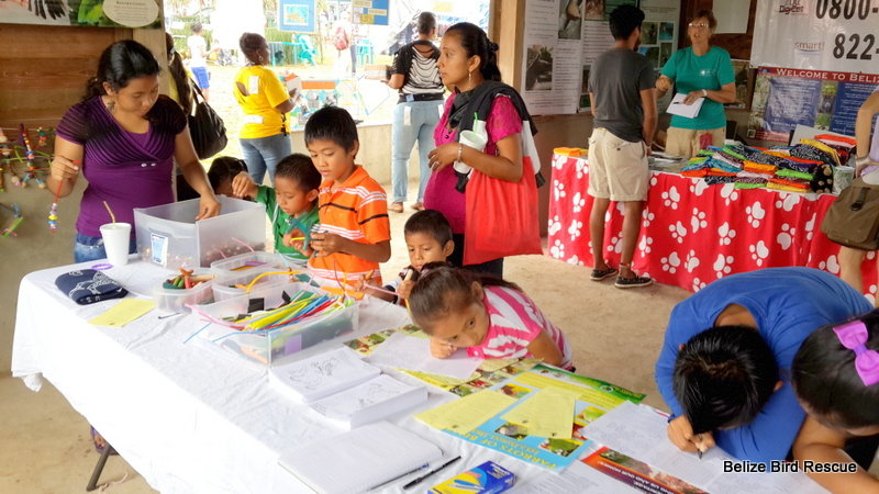 Education and awareness: Birds in Belize!