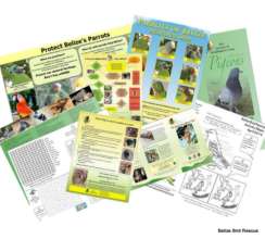 Educational leaflets and posters