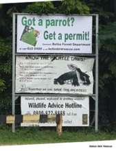 Banners and advertisments