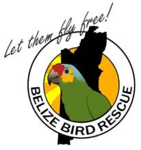 Education and awareness: Birds in Belize!