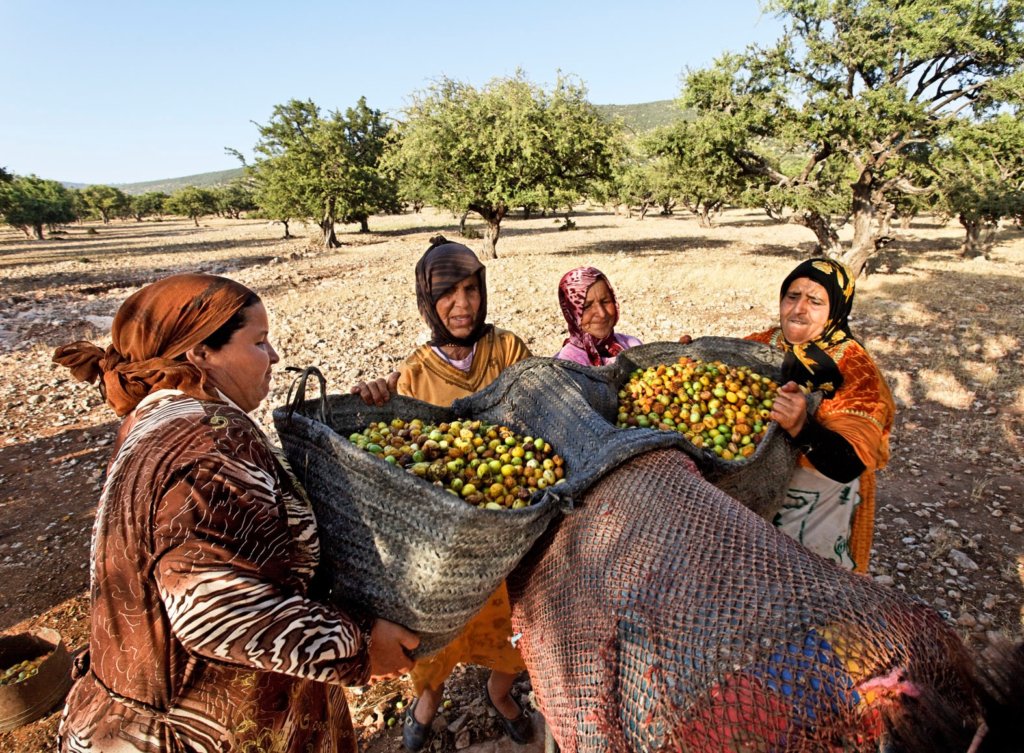 Sponsor 50 Women Social Enterprises to Create Jobs