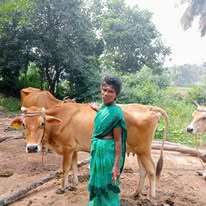 Beneficiary with cow through our support