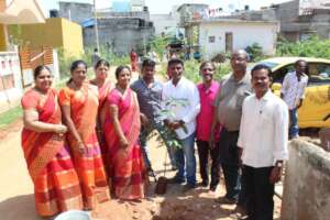 Women's group participates in tree plantation