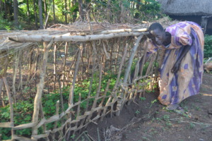 A farmer learns to protect and grow her seedlings