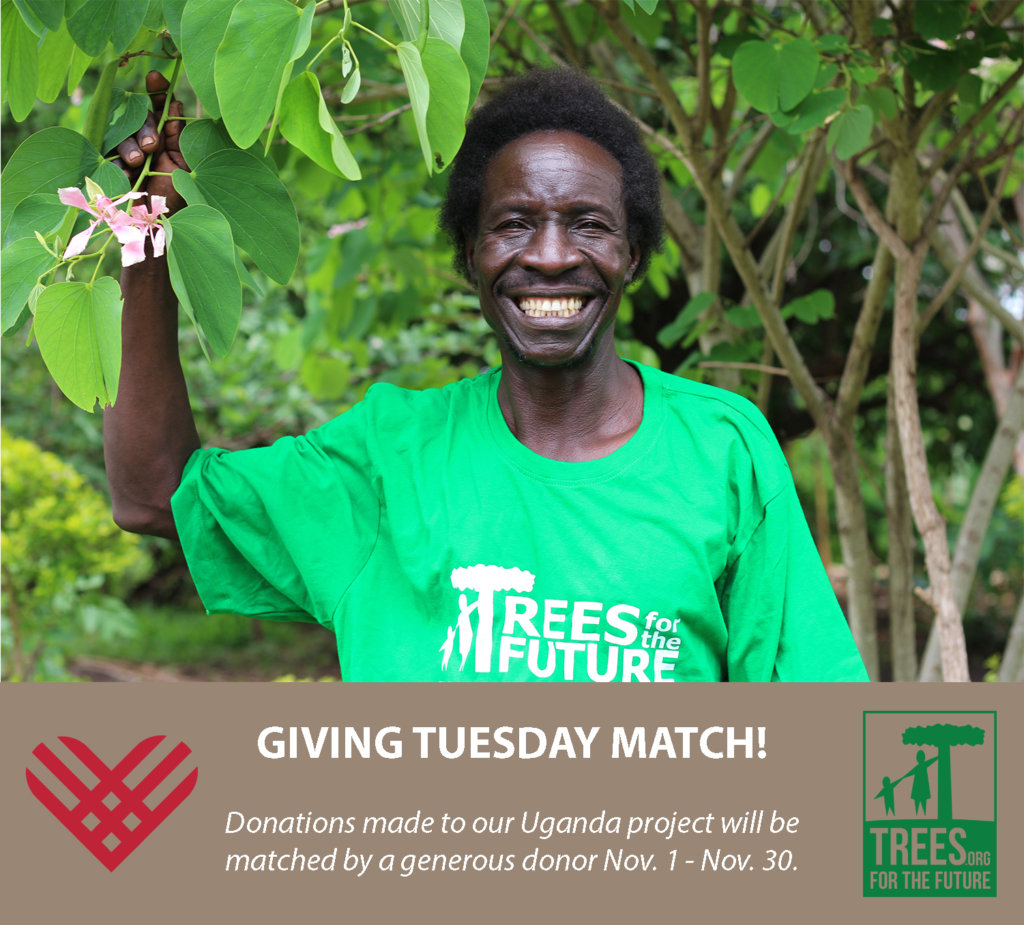 Help Plant 533 Families out of Poverty in Uganda