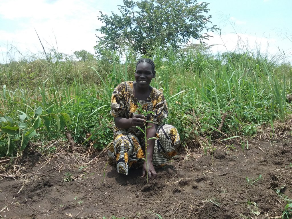 Help Plant 533 Families out of Poverty in Uganda