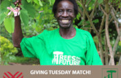 Help Plant 533 Families out of Poverty in Uganda