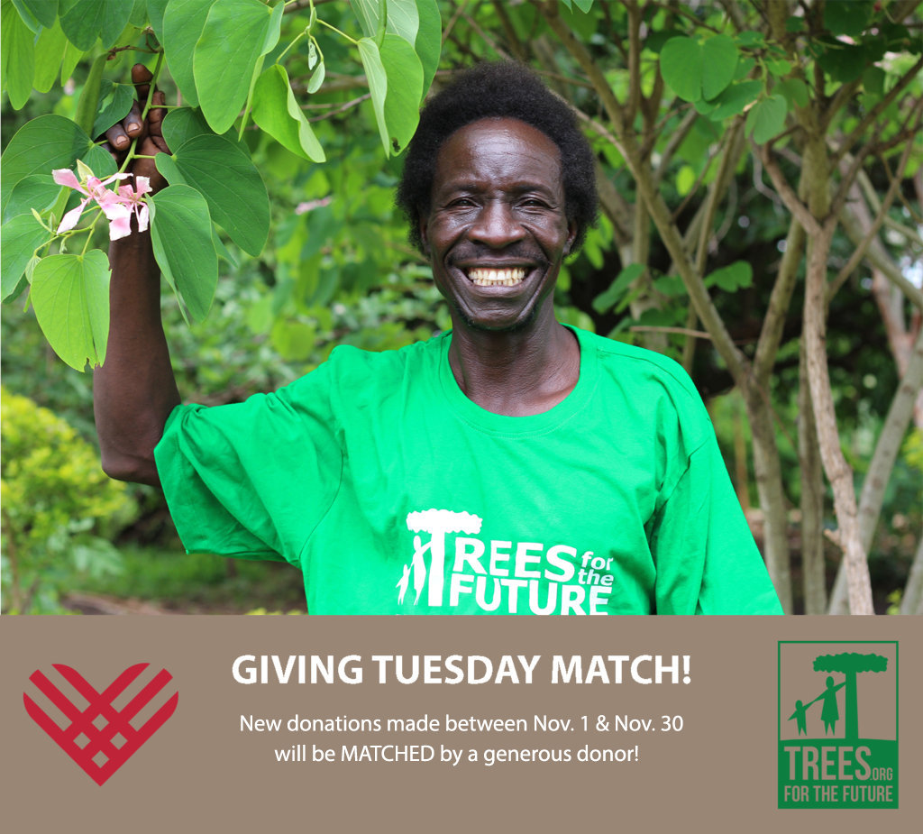 Help Plant 533 Families out of Poverty in Uganda