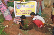 Support to plant 500 trees in schools