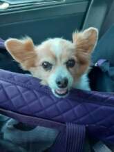 This Angel, Miley, was the most loved girl!