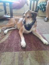 Wilson Iffrig, at the Bridge now...