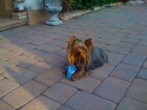 Mimi with her Dolphin