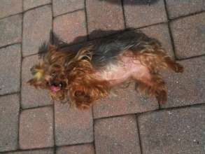 Mimi Rolling on Worms