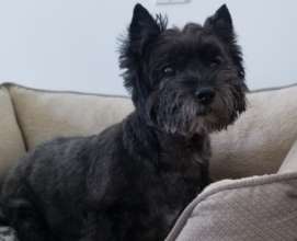 Cool Cosmo....what a wonderful life he lived....