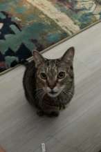 Bella loved her Mom and Dad - she is with Dad now.