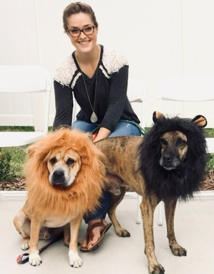 Hawk & Clovis crossed the Rainbow Bridge together