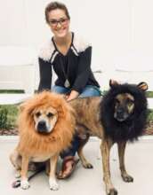 Hawk & Clovis crossed the Rainbow Bridge together