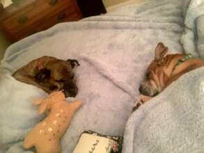 Clovis and Hawk together now at the Bridge