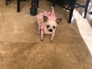 Sweet Little Marie Bobe on her 19th Birthday!