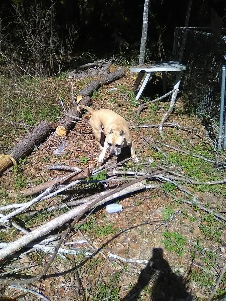 Sadie Owens in healthier days.....