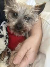 Mojo was Mommy's boy...