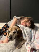 Milo's whole family misses him so much...