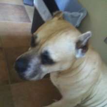 Angel Sadie Owens - Mommy misses you so much...RIP