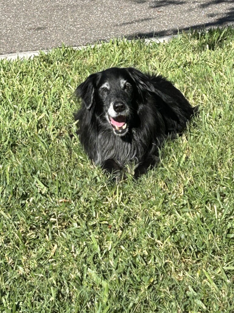 Sweet Lacey Nachimson is missed so much...