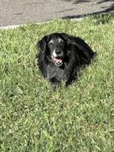 Sweet Lacey Nachimson is missed so much...