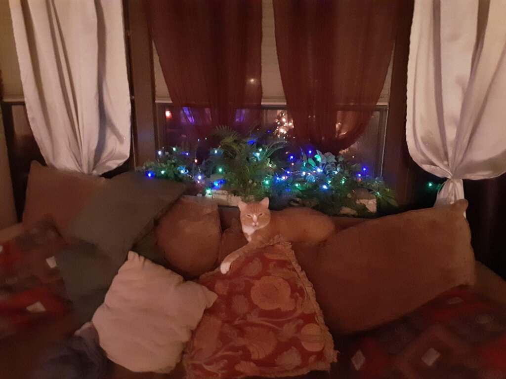 Boo Boo Goodman is missed by his family...