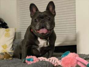 Handsome Nox Ackerman is at the Bridge now...