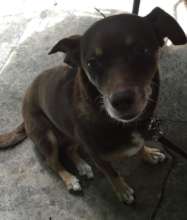 Sweet Myles, Mom misses you so much....