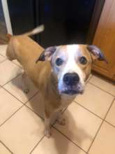 Marley, whose Mom is missing her....