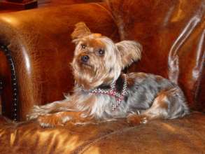 Sweet Baby Ariel in her younger days