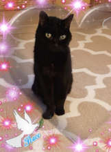 Doebee, what a beautiful sweet Angel...