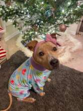 Beautiful Bertie Sabou looking so cute