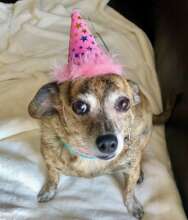 Beautiful Junebug Carney on her Birthday