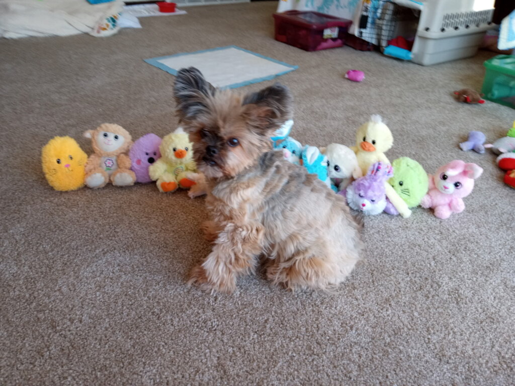 CC was the light of Mom's life....