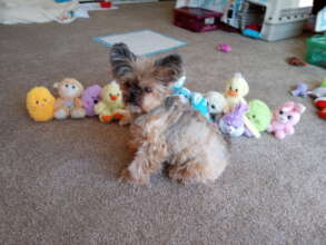 CC was the light of Mom's life....