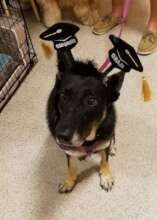 Sweet Daisy May, run free blessed angel!