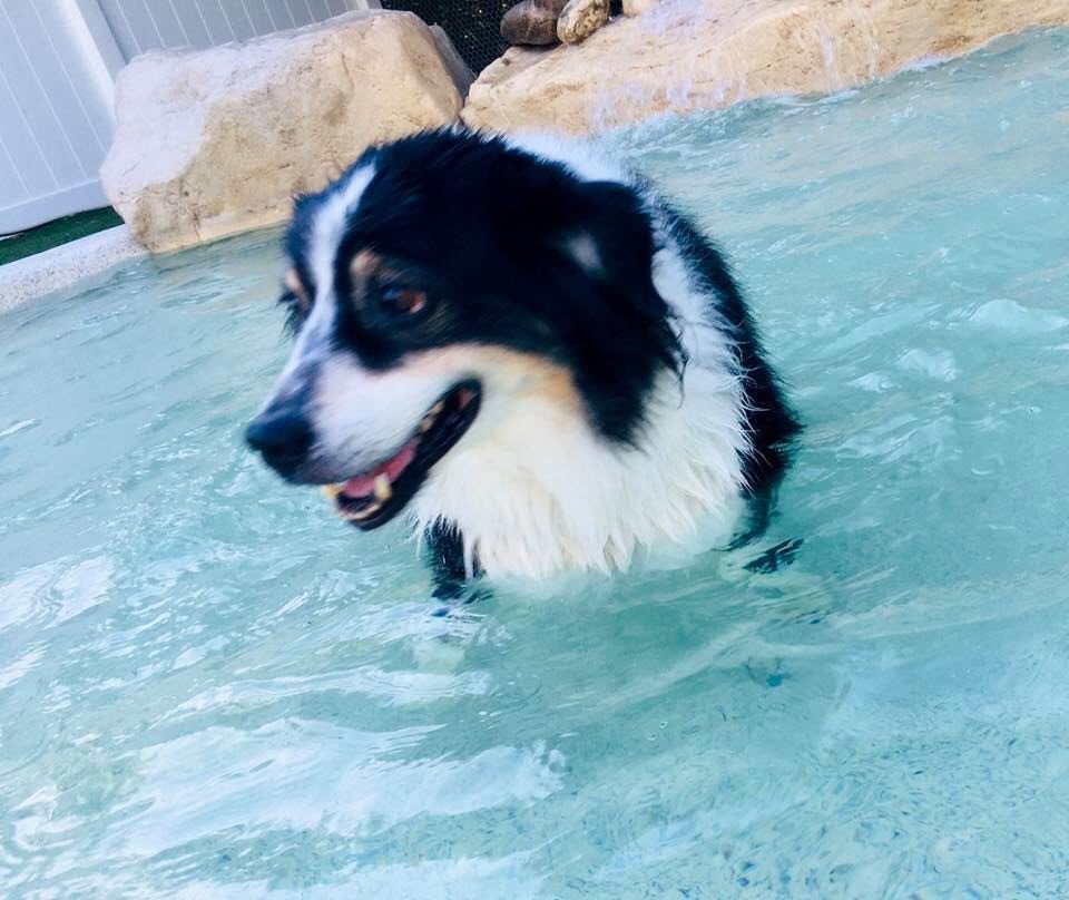 Beautiful Bodie, he is terribly missed