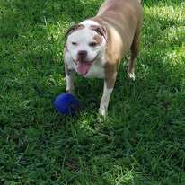 Gypsy Spears looking beautiful!