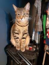 Sweet Henry, always in our hearts!