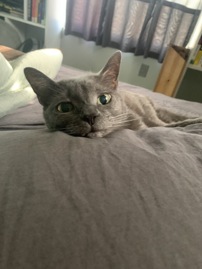 Sweet Princess..so loved by her family is at peace